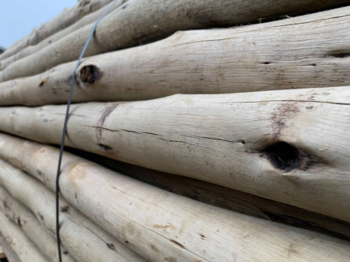 Beduínský stan prodej RedX TRIFLEXX